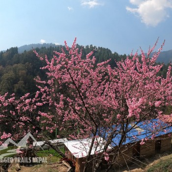 short pikey peak trek in nepal with rugged trails